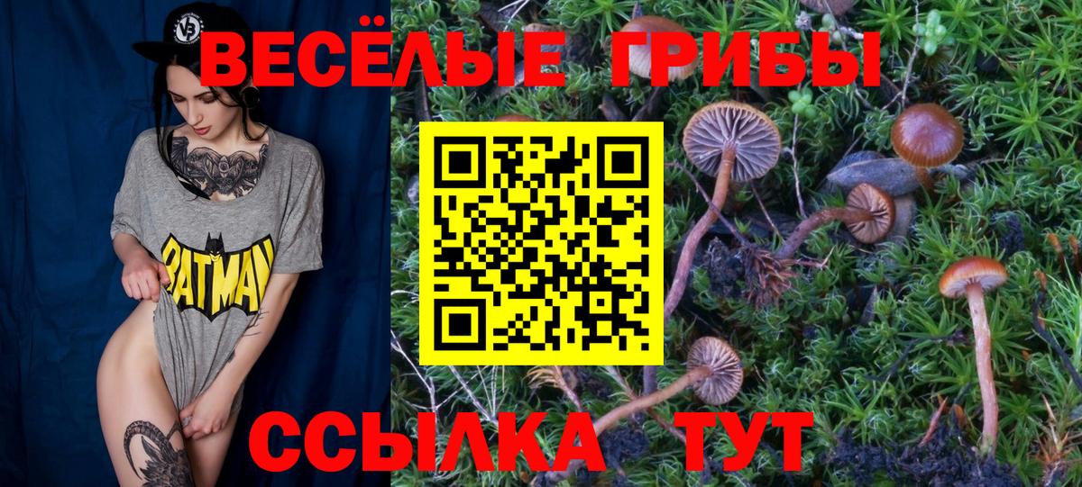 Галлюциногенные грибы Magic Shrooms Лосино-Петровский