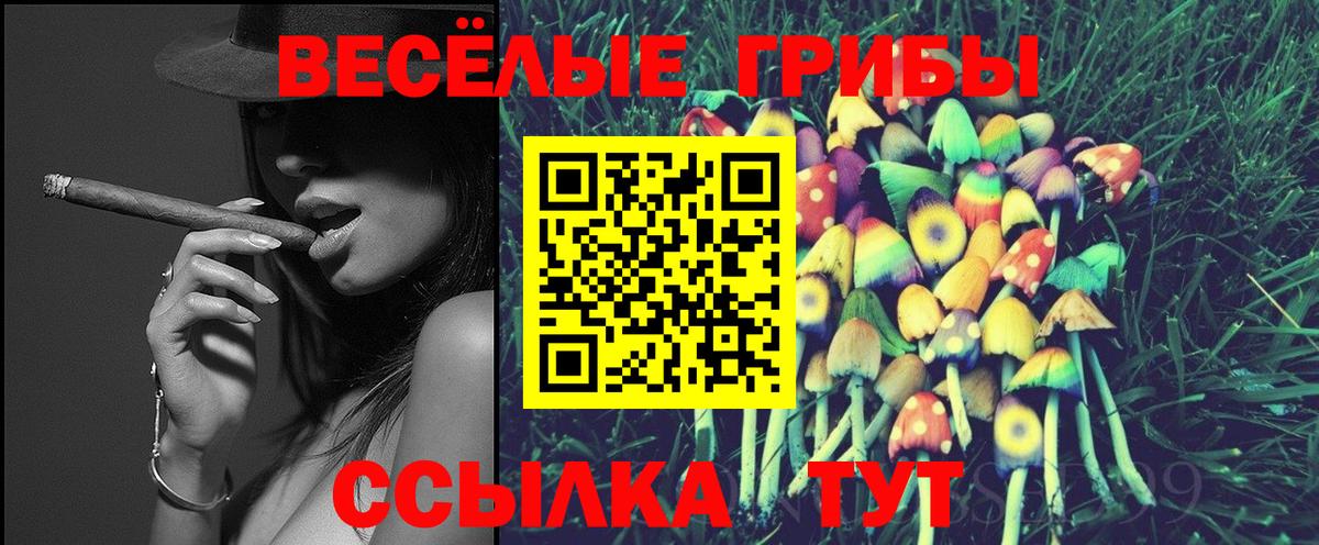 Псилоцибиновые грибы мицелий  купить наркотик  Лосино-Петровский  Вход с VPN 